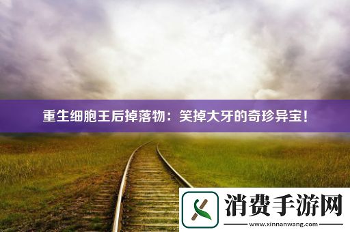 重生细胞王后掉落物