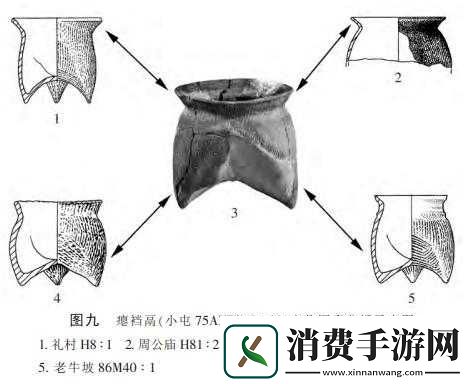 女性怕带钩：心理与文化因素的交织 