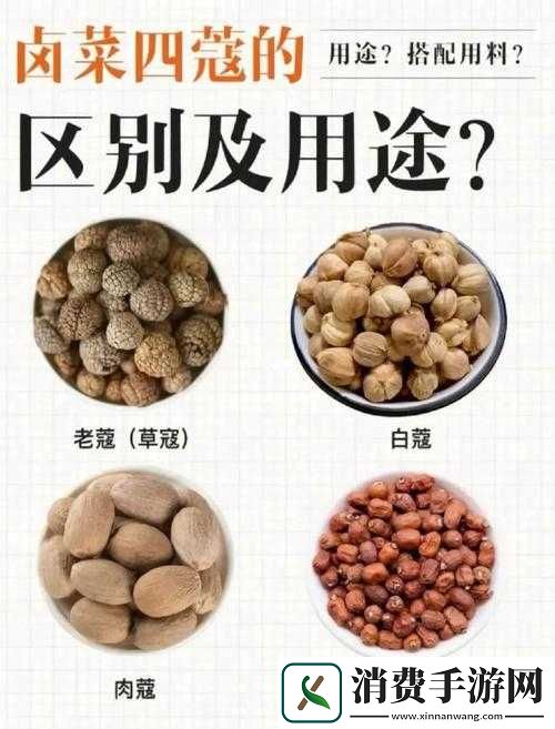 BBBBB-和-BBBBBB-的用法和作用