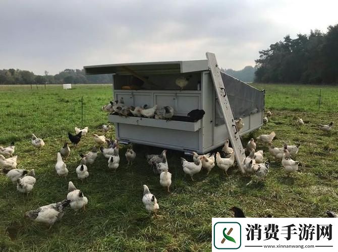 畜牧奇缘：疯狂牧场的奇幻之旅 