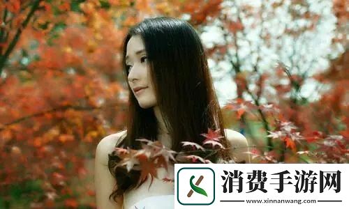 精华区二区区别88888：深入分析88888数字背后的意义及其在社区运营中的独特作用。