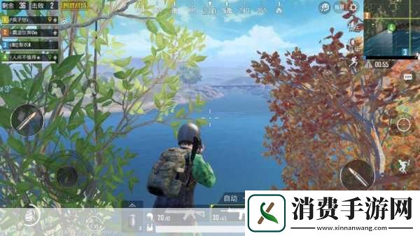 手游新视角显卡风云突变手游玩家如何在这场硬件风暴中畅游无阻
