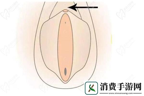 “BB颜值大乱斗-游戏圈新潮流！”