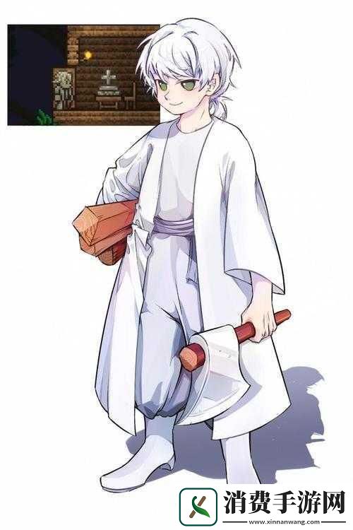 泰拉瑞亚视频教学人设如何