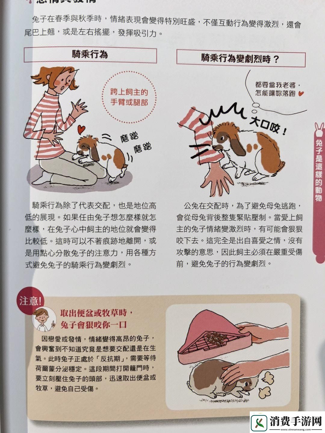 “咬兔兔潮流尖端笑谈游戏界的另类风情！”