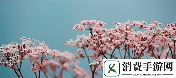 国色天香桃花朵朵开