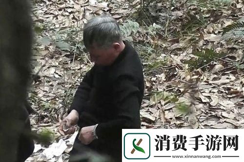 绿野仙踪里的另类买卖：大爷的森林摄影课仅售十元 