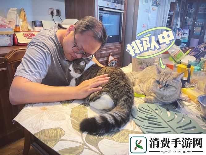 宠物控新潮流：男性宠友的另类解压之路 