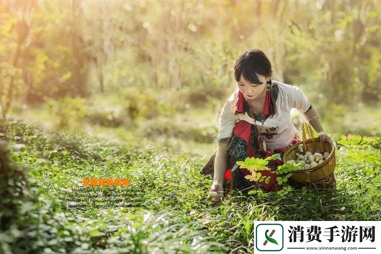 采毛菇的小姑娘：山林中的欢乐时光