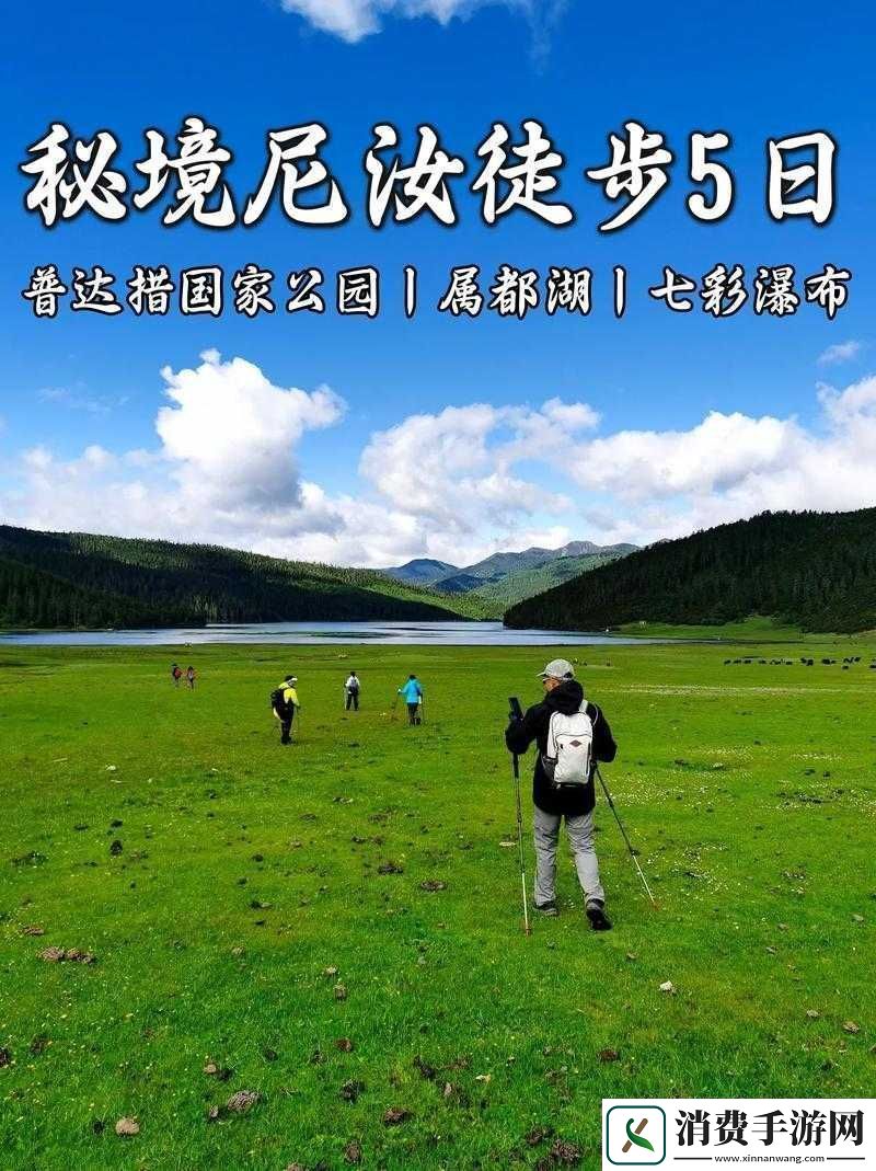 大手向下游走来到芳草地：探寻神秘之境