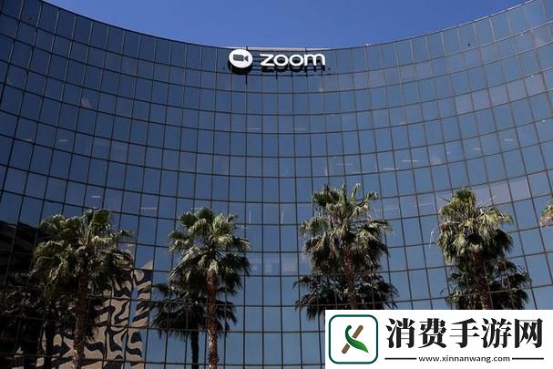 “Zoom个头-时代翻筋斗！”