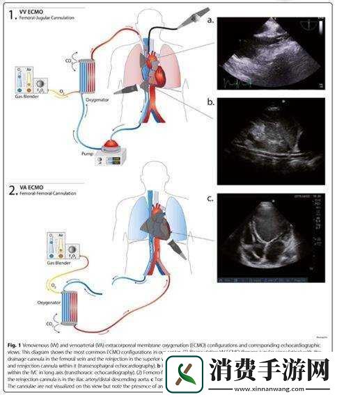 J啊vaScriptJ啊vaHD有着显著的区别之分析