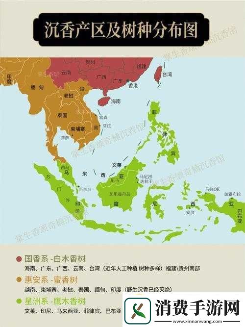 沉香一线产区与二线产区区别对比