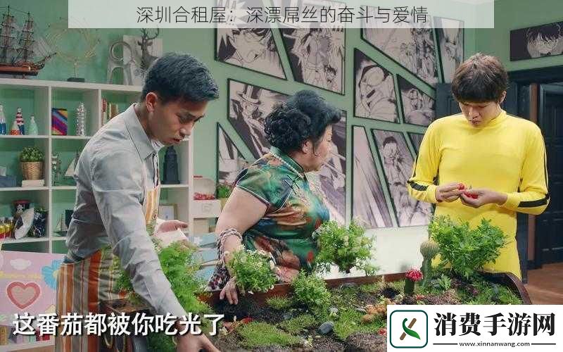 深圳合租屋：深漂屌丝的奋斗与爱情