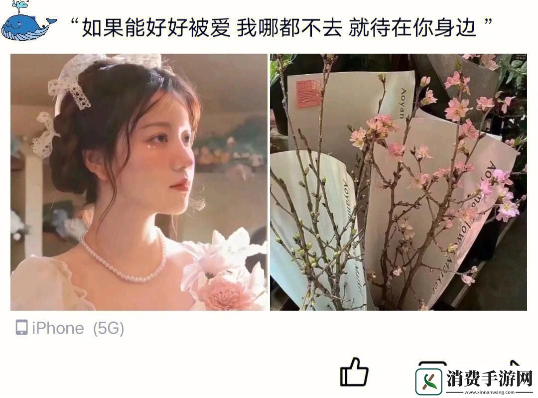 妈妈开始拒绝最后乖乖的说说：新时代科技引领创新
