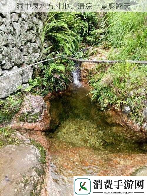 洞中泉水方寸地-清凉一夏爽翻天