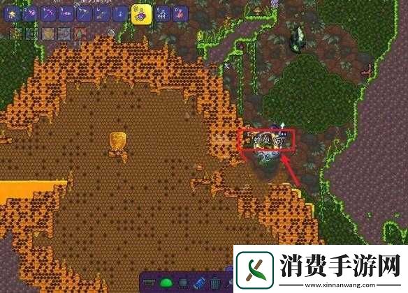 泰拉瑞亚蜂后击杀要点及打法