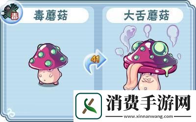 “卡布西游蘑菇”奇遇