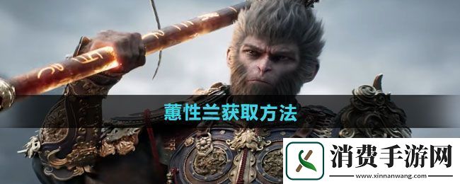 黑神话悟空蕙性兰如何获得蕙性兰获取方法