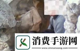 “公园后山的秘密交易-热情燃烧的科技盛事” 