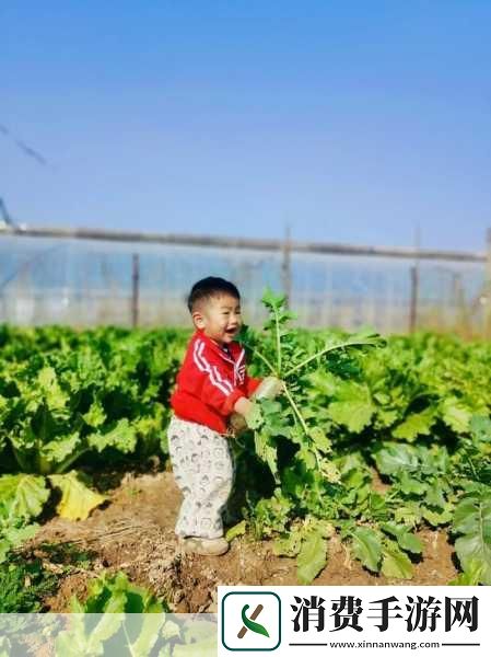 一小孩跟姐姐玩萝卜游戏：萝卜游戏：小孩与姐姐的欢乐时光