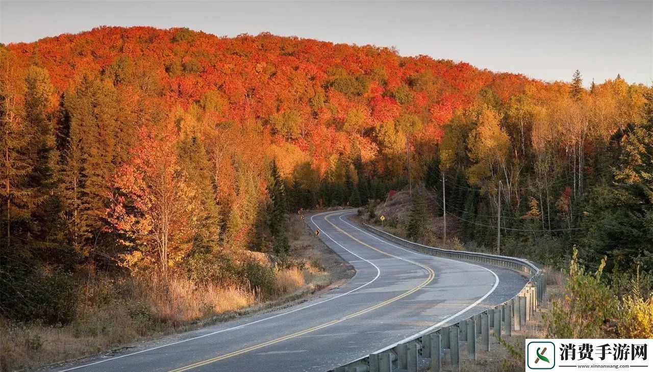 乾隆知画大汗淋漓