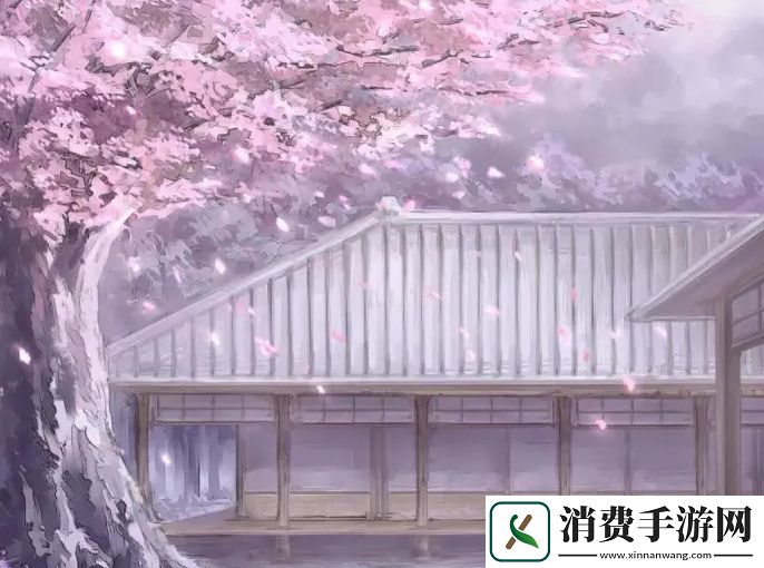 精华区二区区别88888你不知道的深度解析与对比