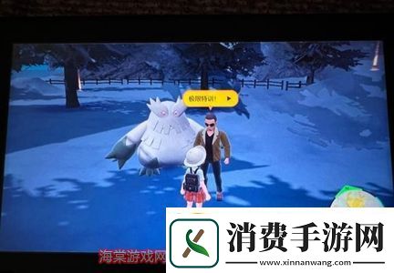 宝可梦朱紫银色王冠怎么用