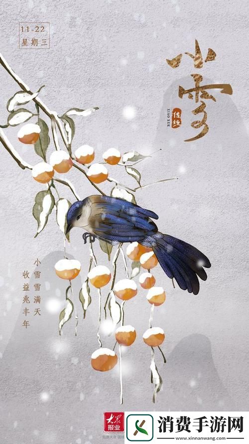 丰年经与中文2：奇哉怪也-差异何在