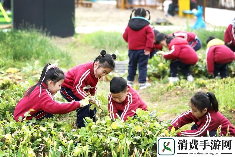 “拔萝卜”闹剧：科技圈里的“震惊”风云