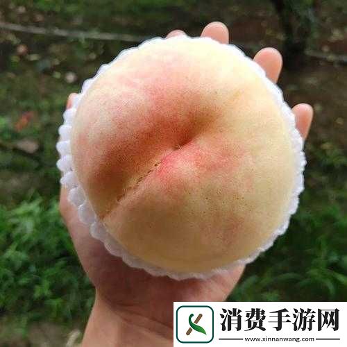 水蜜桃-4-双管齐下-将免费啦