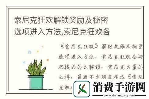 索尼克狂欢秘密选项进入方法揭秘