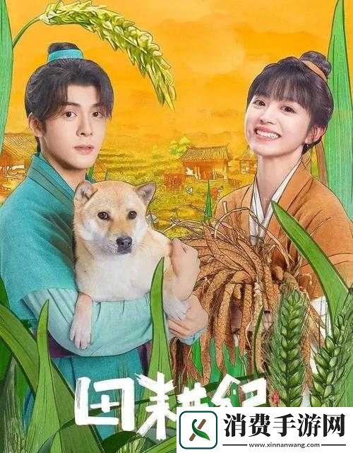 儿子耕了母亲荒废的田：背后的故事