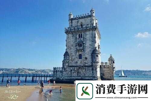 欧洲无线一线二线三W955：独特的无线魅力所在 
