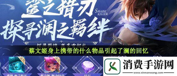 蔡文姬身上携带的什么物品引起了澜的回忆