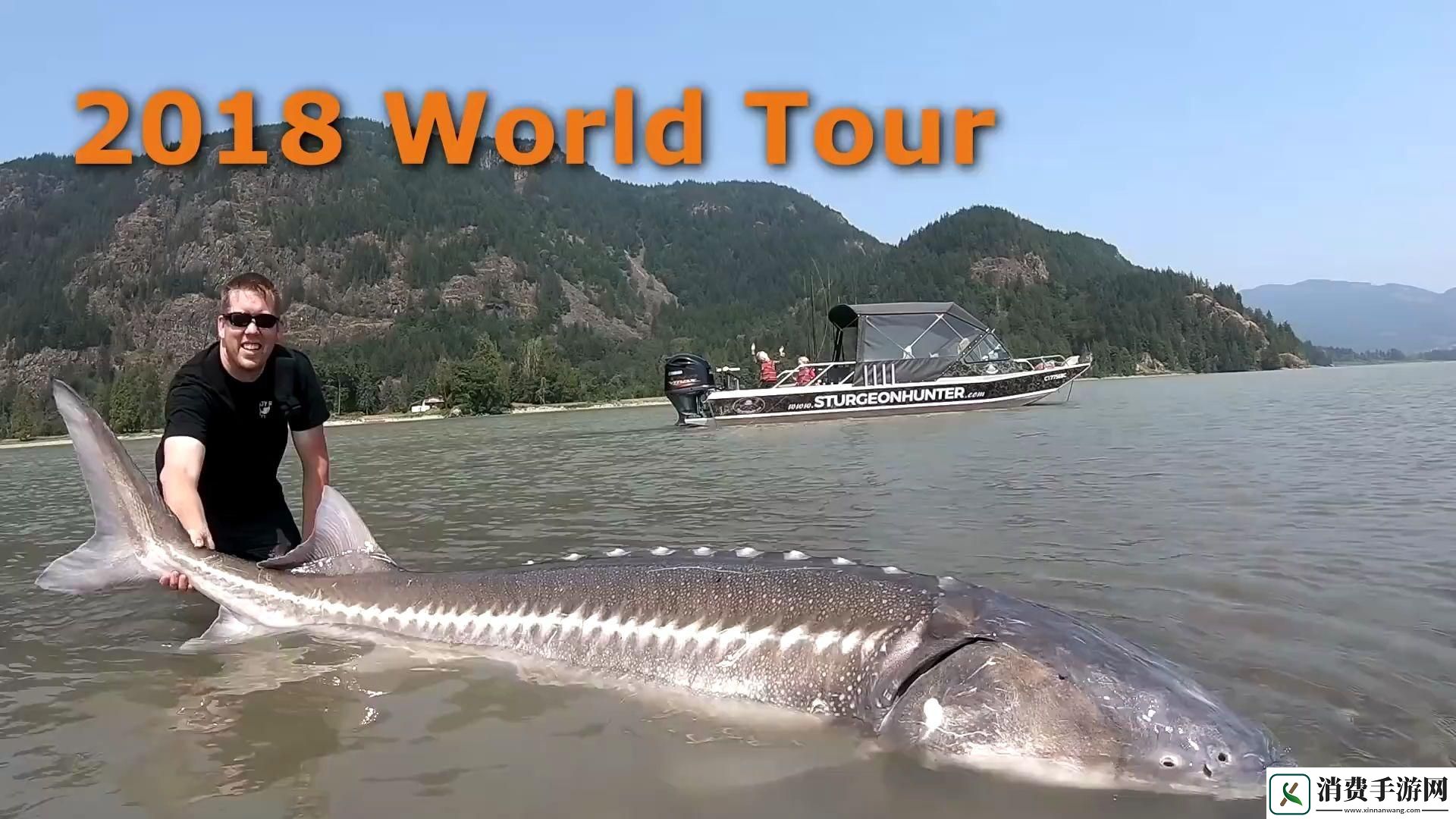 巨大扩大Fishing-笑谈科技狂潮中的那些小鱼小虾 