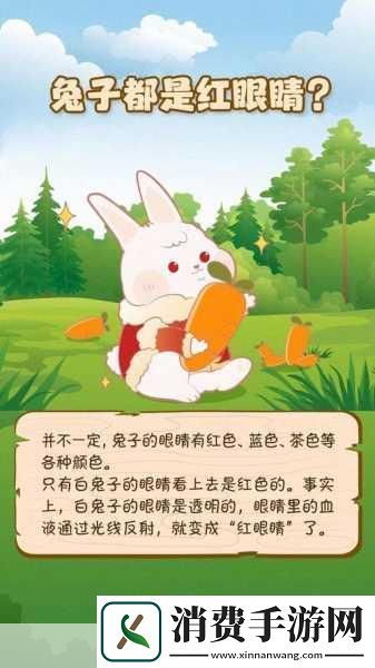 小白兔子被咬的通红：小白兔的红肿冒险