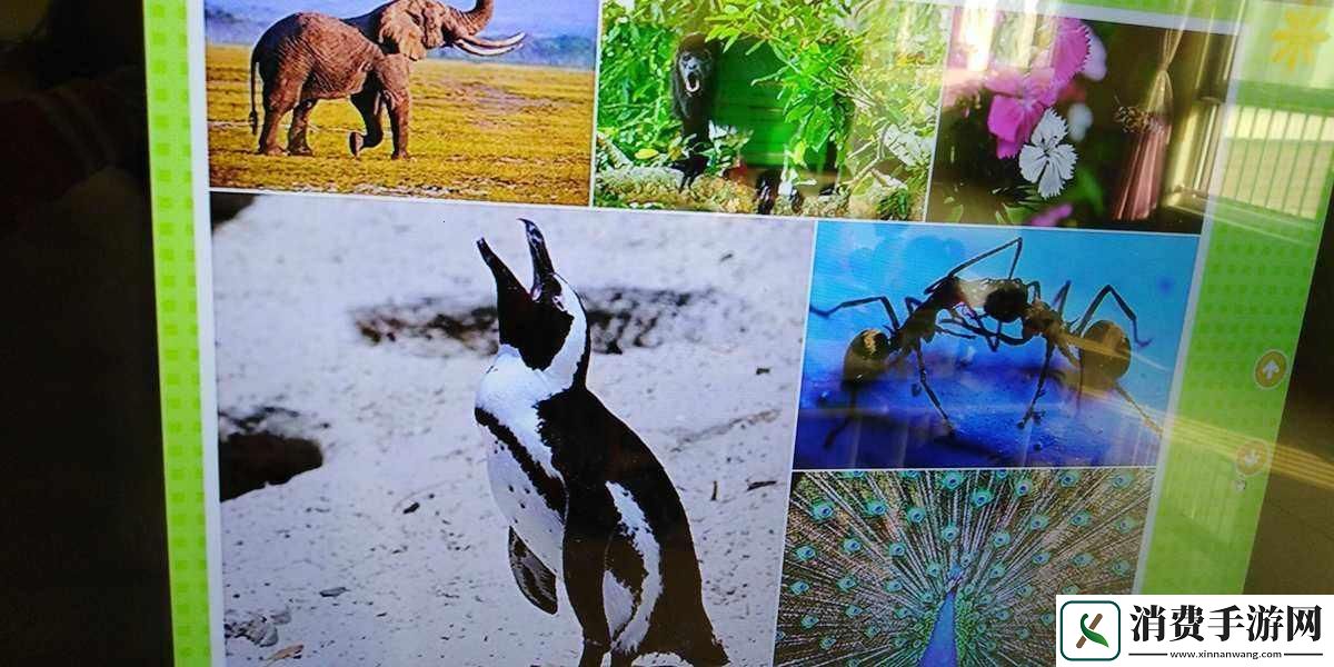 “老马春风得意