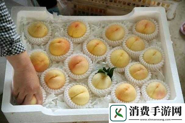 日产-nv-二线三线水蜜桃：水果中的精品