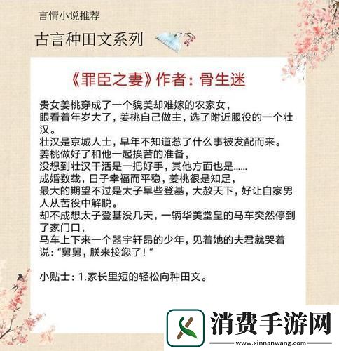 LVL大哥弟媳古言