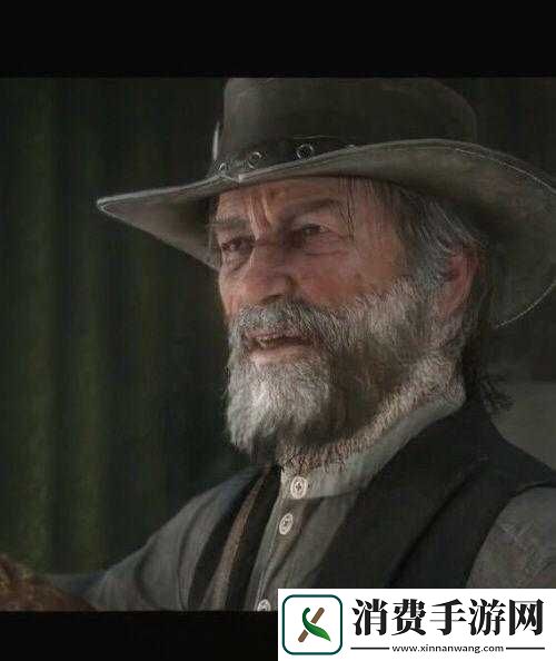 老年阿姨荒野大镖客背后故事