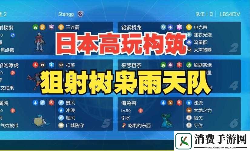 口袋妖怪复刻双打宠物搭配战术全解
