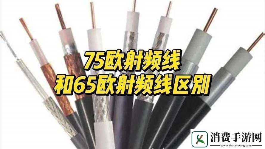75欧射频线与65欧射频线区别解析