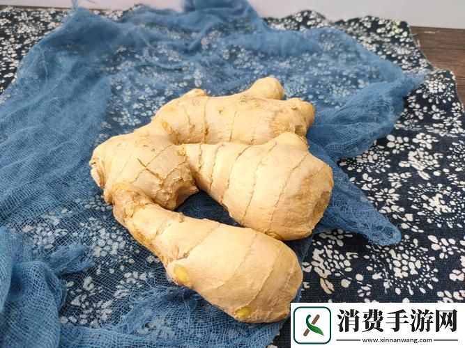“姜”罚记：笑谈“姜山”一年之旅