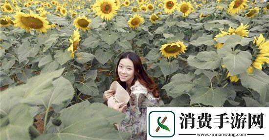 韩国三色电费2023免费吗:了解电费如何影响你的生活