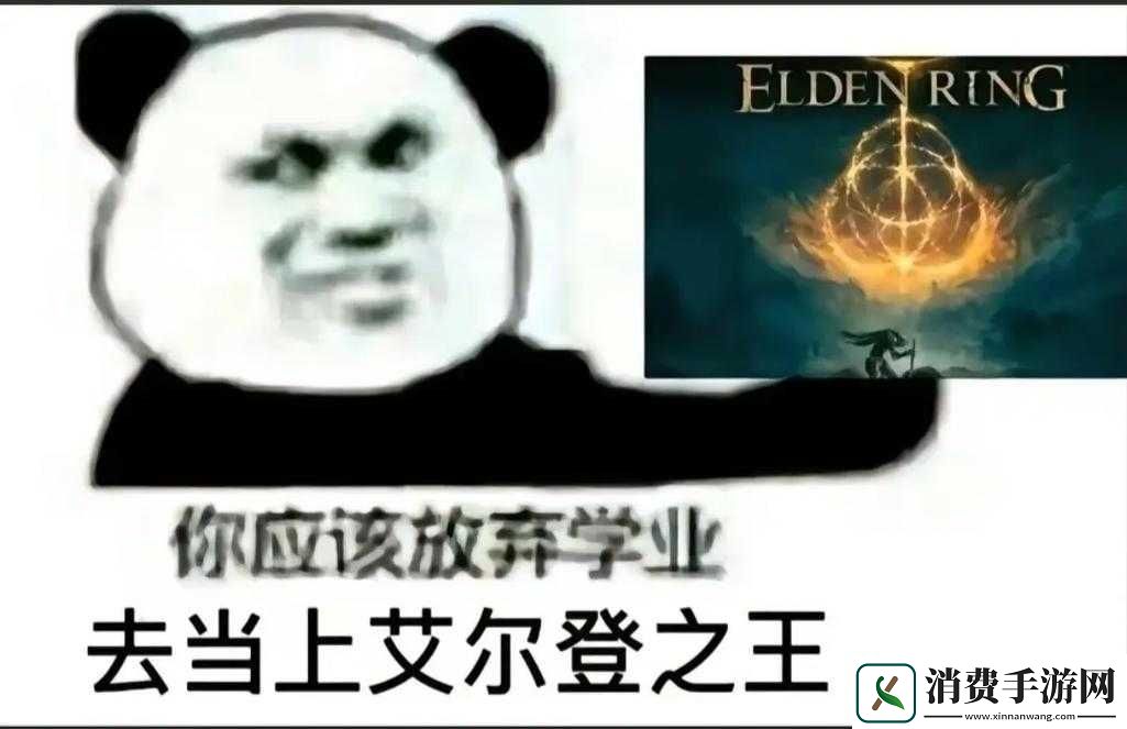 艾尔登法环锁帧解决方法 