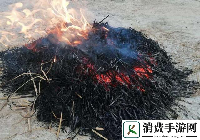 抓灰民间故事贵莲：掀起热潮的神秘面纱