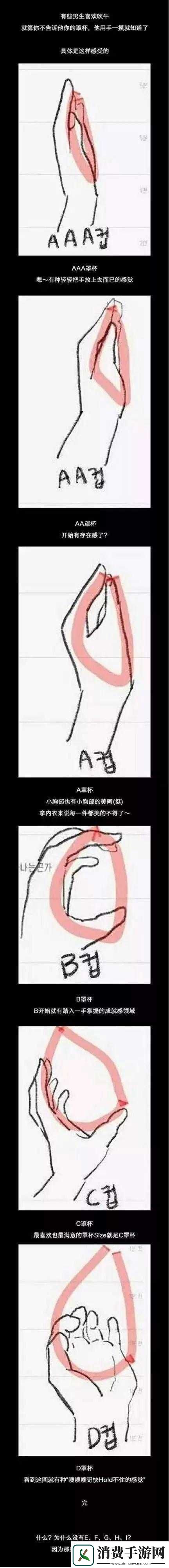 男人喜欢一只手能握满的胸围吗：探讨 