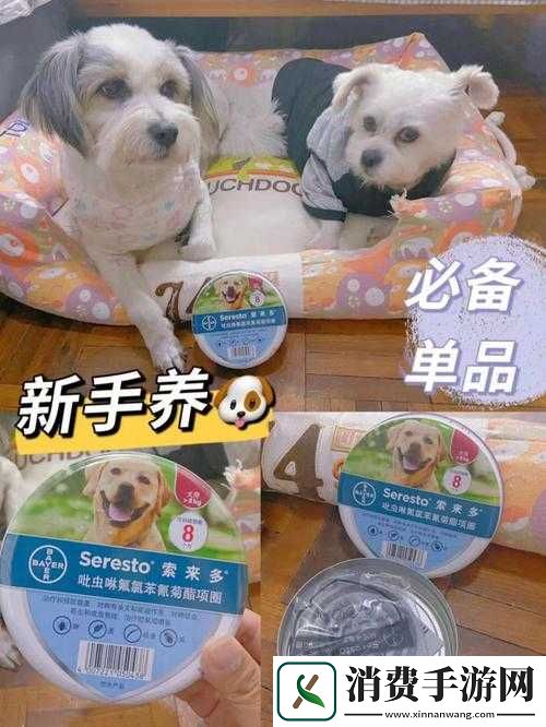 人狗胶配方大全图片：揭秘狗胶的神秘配方