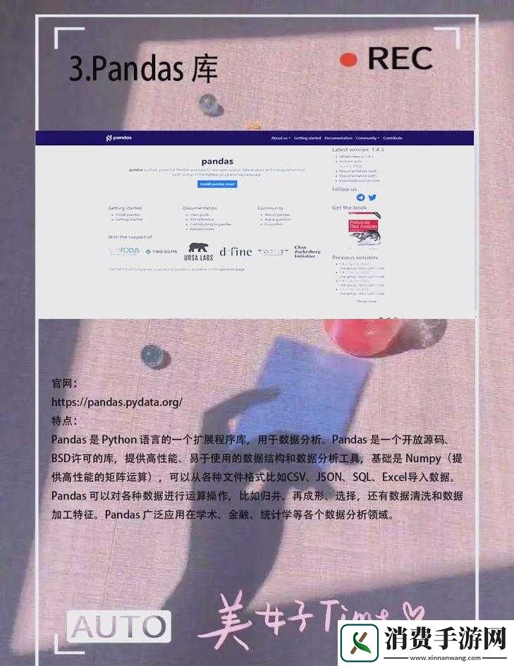 Python-人马：探索代码世界的神秘力量